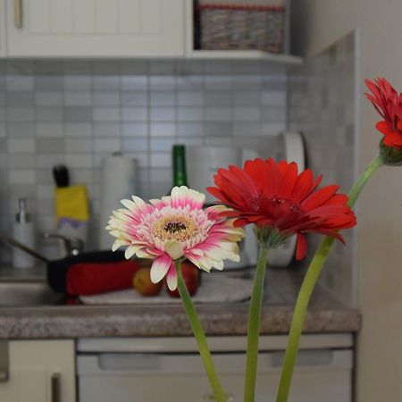 Ferienapartments Urlaub Und Meer Ostseebad Kühlungsborn Szoba fotó