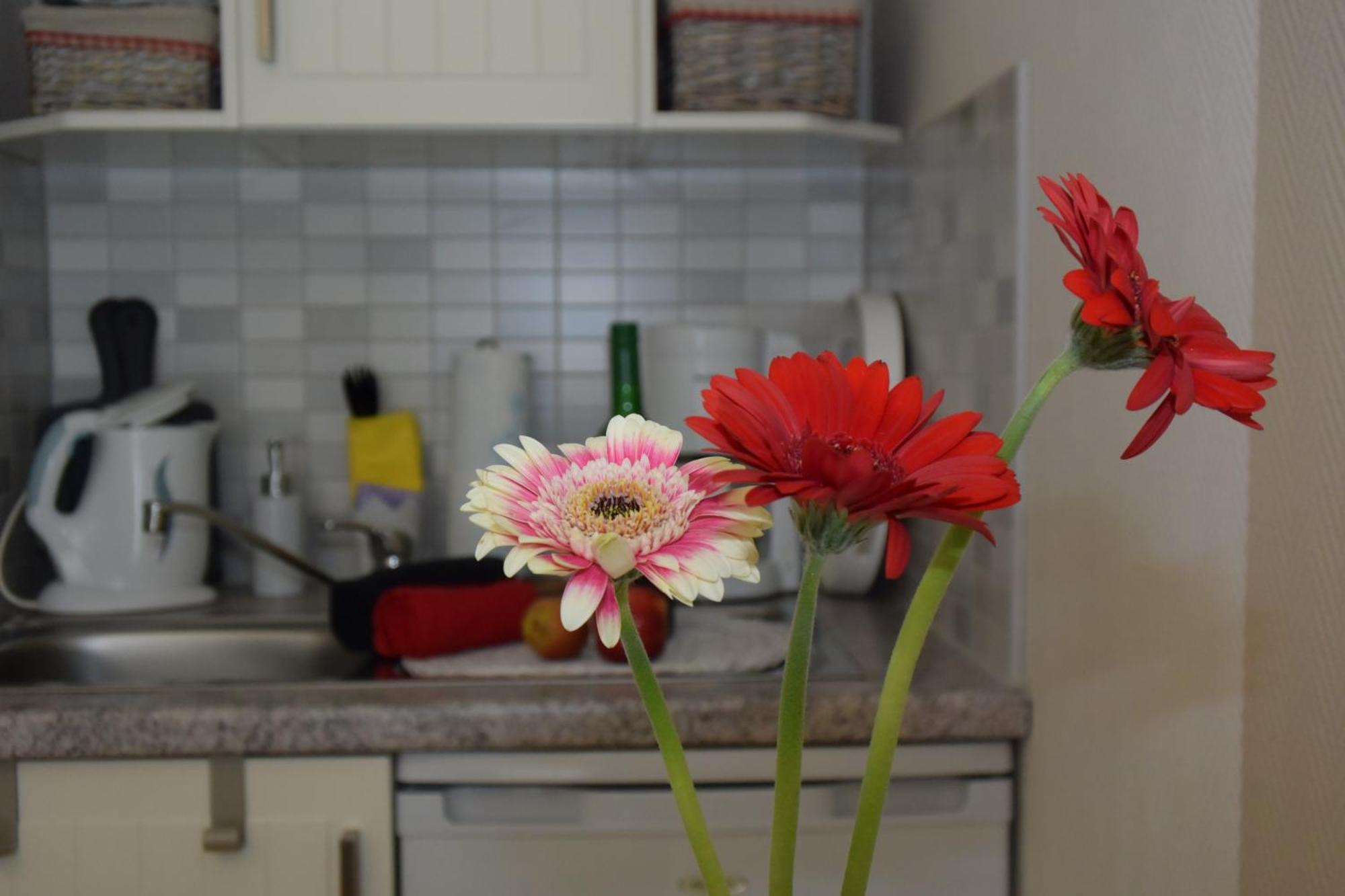 Ferienapartments Urlaub Und Meer Ostseebad Kühlungsborn Szoba fotó